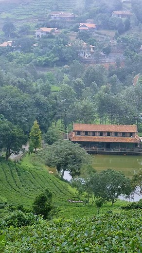 10K views · 2K reactions | Kotagiri nilgiri | Beautiful nilgiri | Facebook