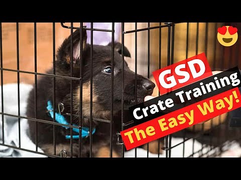 How to Crate Train your German Shepherd puppy? *Get Results in 7 Days*