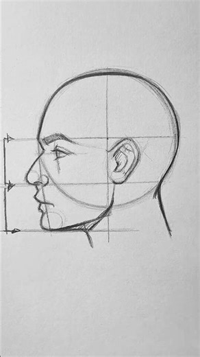 How to Draw a Perfect Side Face | Easy Face Anatomy Tutorial