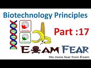 Biology Biotechnology Principles part 17 (Isolation of DNA, Cutting of DNA) class 12 XII