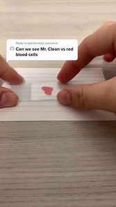 Science Meets Mr. Clean Vibes!