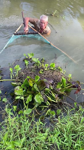 Grandpa Fishing trên TikTok