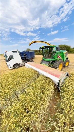 John Deere 9900i forage harvester in a field of Rye with Wagon taking the load