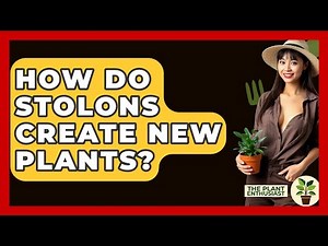 How Do Stolons Create New Plants? - The Plant Enthusiast