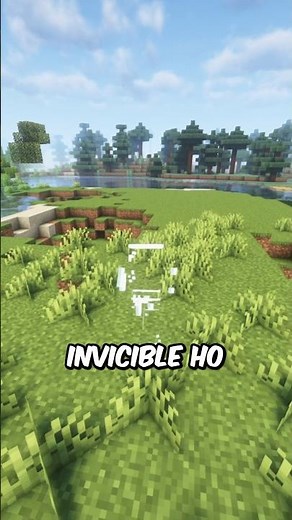 I Found SECRET New Armors in Minecraft! 😱