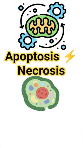 Apoptosis vs Necrosis Explained in 30 sec🔥👍l CSIR-NET 2026 #crashcourse #csirnetstrategy