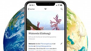 Wikipedia geht nicht? So kannst du trotzdem auf Inhalte zugreifen
