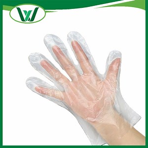 [Hot Item] Disposable PVC TPE PE Gloves Manufacturer