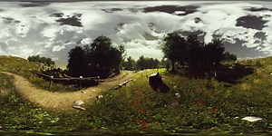 VR360 view of field and fofest