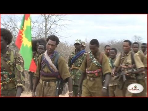 Oromo Liberation Front Army (WBO)