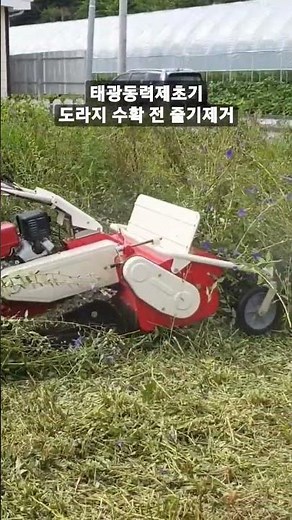 태광제초기‼️도라지 줄기제거 #제초기 #제초작업
