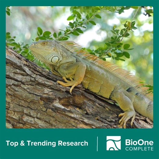The latest edition of Top & Trending Research is here! This quarterly...