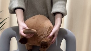 Hofun4U Beaver Plush Pillow with Big Front Teeth, Beaver Stuffed Animal, for Kids Adults (Brown 17.3 inch)