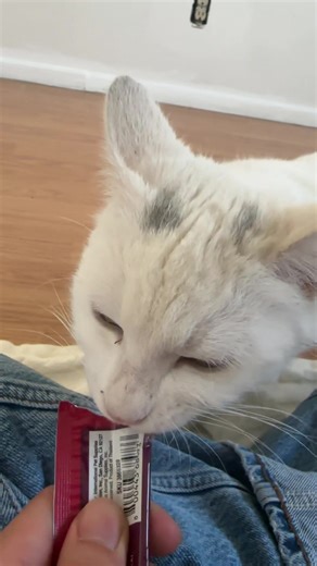 Bonding time! | bondings