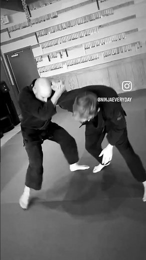 To-Shin Do "Daken Taijutsu" (Striking Skills)