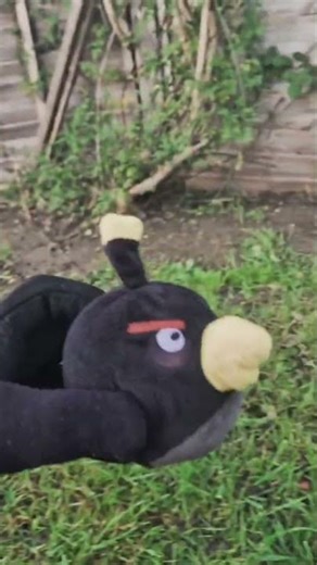 Should've kept singing...#film#films#angrybirds #plushies#plushtoy#funny #plush#asdfmovie#memes