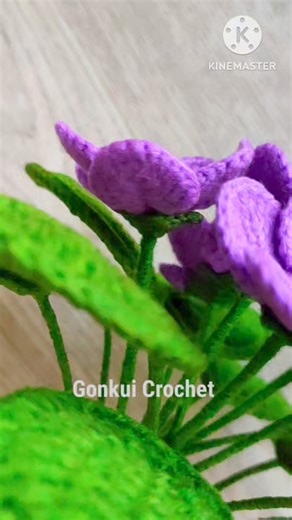 36K views · 505 reactions | Crochet African Violets Flower  Full video tutorial on YouTube Gonkui Crochet step by step #fbreels #reels #crochet #crochetflower #gonkuicrochet | Gonkui Crochet & Chapa crochet craft | Facebook
