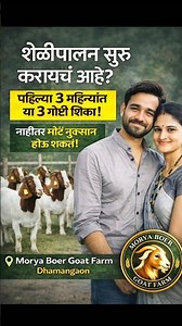 शेळीपालनात पहिल्या 3 महिन्यात काय शिकावं? | Beginner Guide