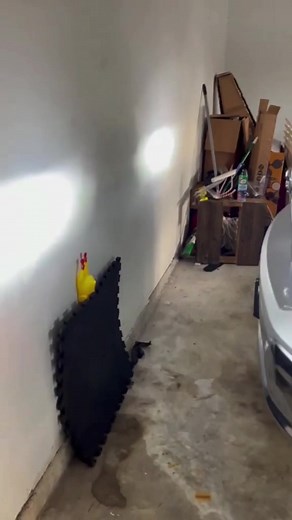 The best parking aid ever (Via IG: kevfiveseven) | Yee Yee Apparel