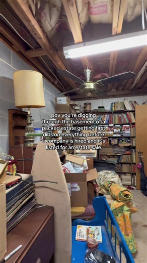 Exploring a Treasured Antique Collector's Estate