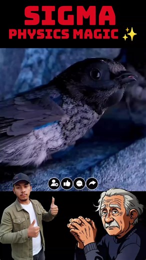 Understanding Einstein's View on Time: A Mind-Blowing Insight