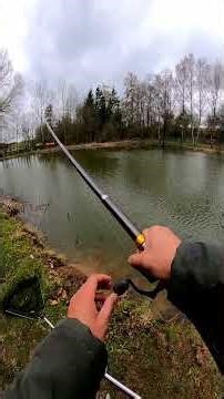 Mein Lieblings Angelteig Rezept #angeln