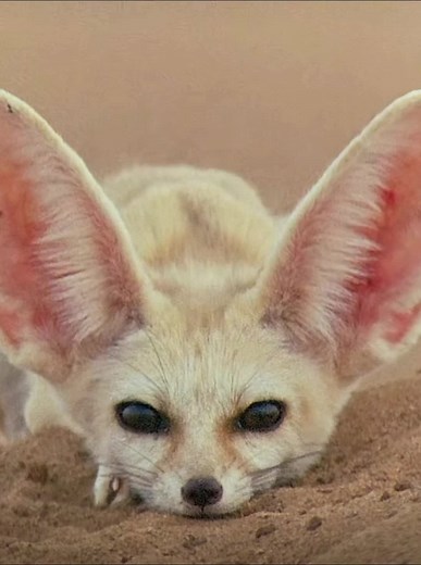 user67339966084 on TikTok