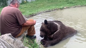 Jim and his buddy Leo. For anyone new here, Leo is a syrian brown bear. | Orphaned Wildlife Center