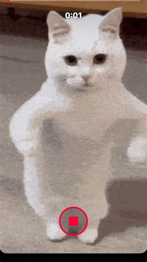 Tutorial on how to make the like button turn into a cat