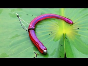 The BEST "Clean Up" Technique On The PLANET