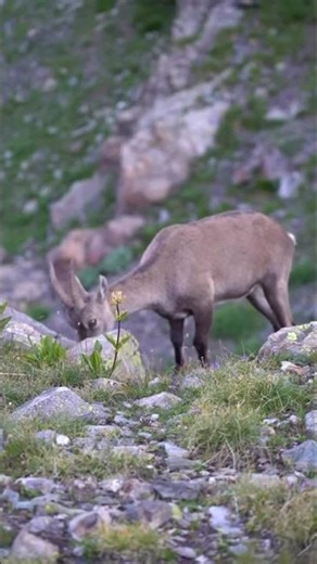 Better than Netflix ❤️