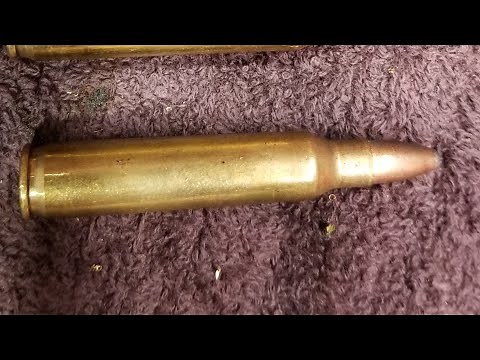 My perfect hog round for the AR15 chambered in 5.56 /.223