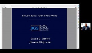 Domestic Violence: Four Contemporaneous Proceedings a Child Abuser May Face