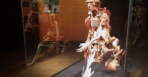 New exhibit brings real bodies to Union Station