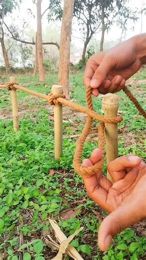 One Constrictor Knot, Many Uses!