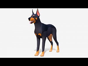 CT Doberman Animations