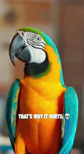 Parrot Reads Officer Like an Open Case File 📂🦜🔥