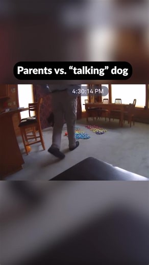 Spring Break Fun with Bunny and Family