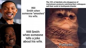 This Month's Best Memes From Reddit's 'Dank Memes'