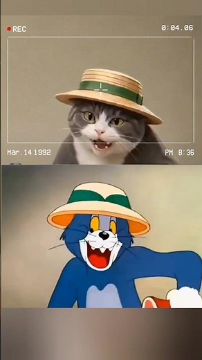 Том и Джерри новый мультик. #tomandjerry #tom #jerry #shorts #shortvideo #cartoon #мультик