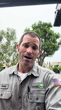 Versa-Tech PM® July Pest Activity | Southern California's Most Trusted Pest Control Company