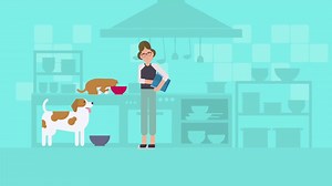 20 shares | Here's a handy little animation that explains how you order one of our campaigns! | Animal Search UK | Facebook