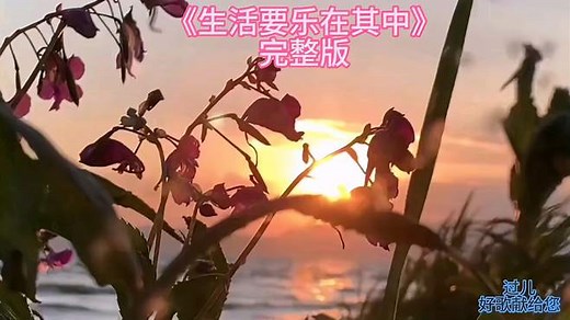 《生活要乐在其中》完整版，生活藏着种种惊喜和快乐，要乐在其中