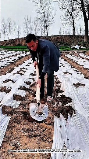 Smart Combination of Agricultural Tools: Local Wisdom of Farmer Tilling Soil #AgriculturalInnovation