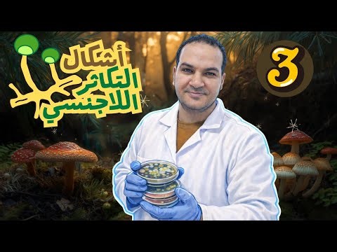 Explanation of asexual reproduction in fungi - Asexual reproduction in fungi #Mycology