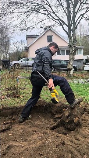 Remove tree stump
