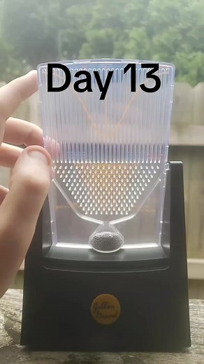 DailyRandomDistribution on TikTok