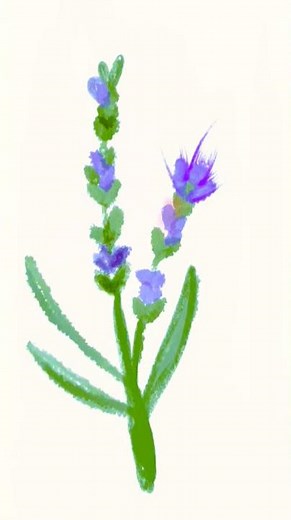 Easy Lavender Drawing Tutorial | Simple Floral Art for Beginners, how to create a beautiful art