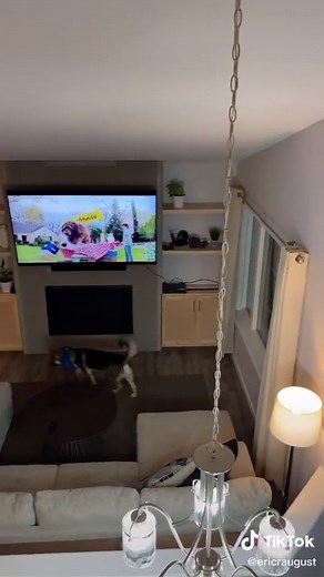 Intruder Alert: Must-Have Alexa SmartHome Routines