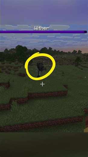 The Most Unexpected Minecraft Battle Ever #minecraft